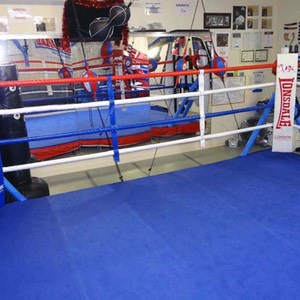 Boxing ring & mma gym gold coast