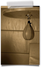 Speedball training gold coast