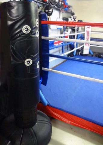 Boxing mma gym robina gold coast
