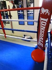 private Boxing ring robina gold coast